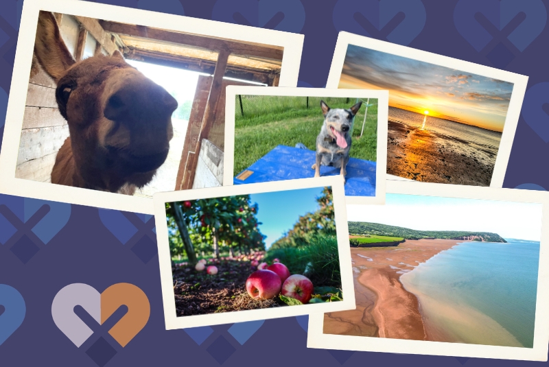 mixed photos on a blue background